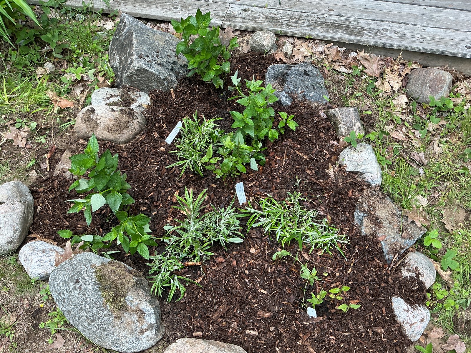 The second cottage bed tucked among the fieldstone border
