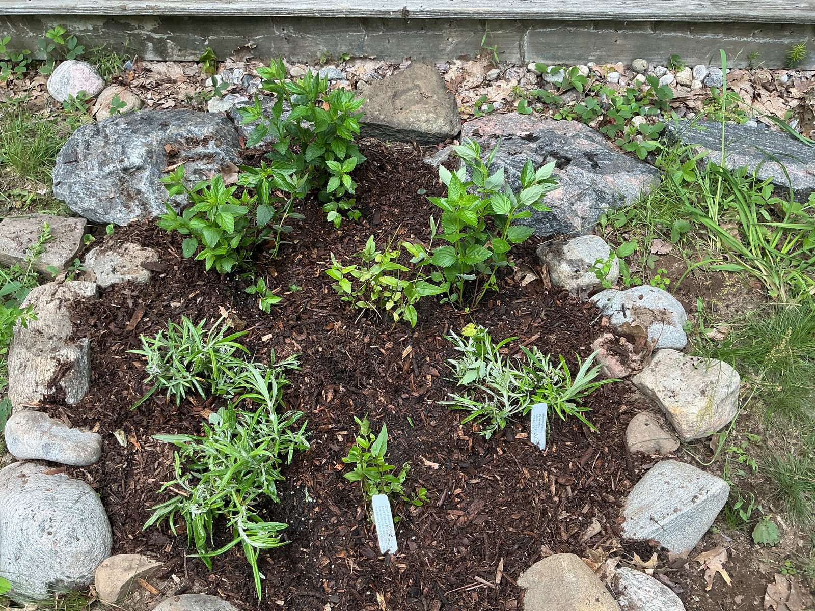 One of the cottage beds — freshly planted in bark mulch