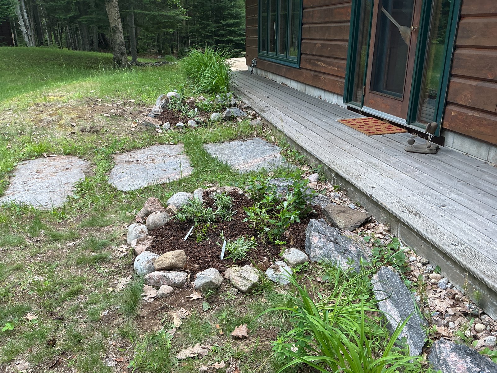 The entrance beds from the side — stepping stones leading to the cottage with both beds visible