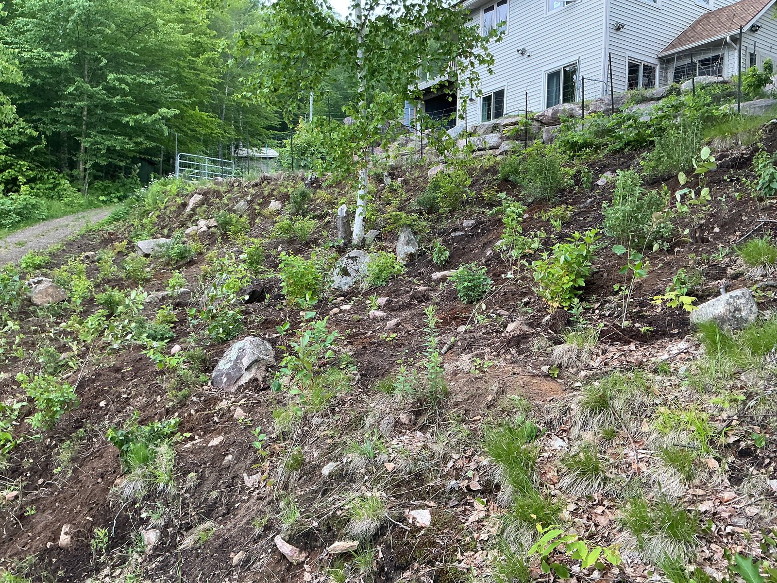 clients property — Paudash Lake