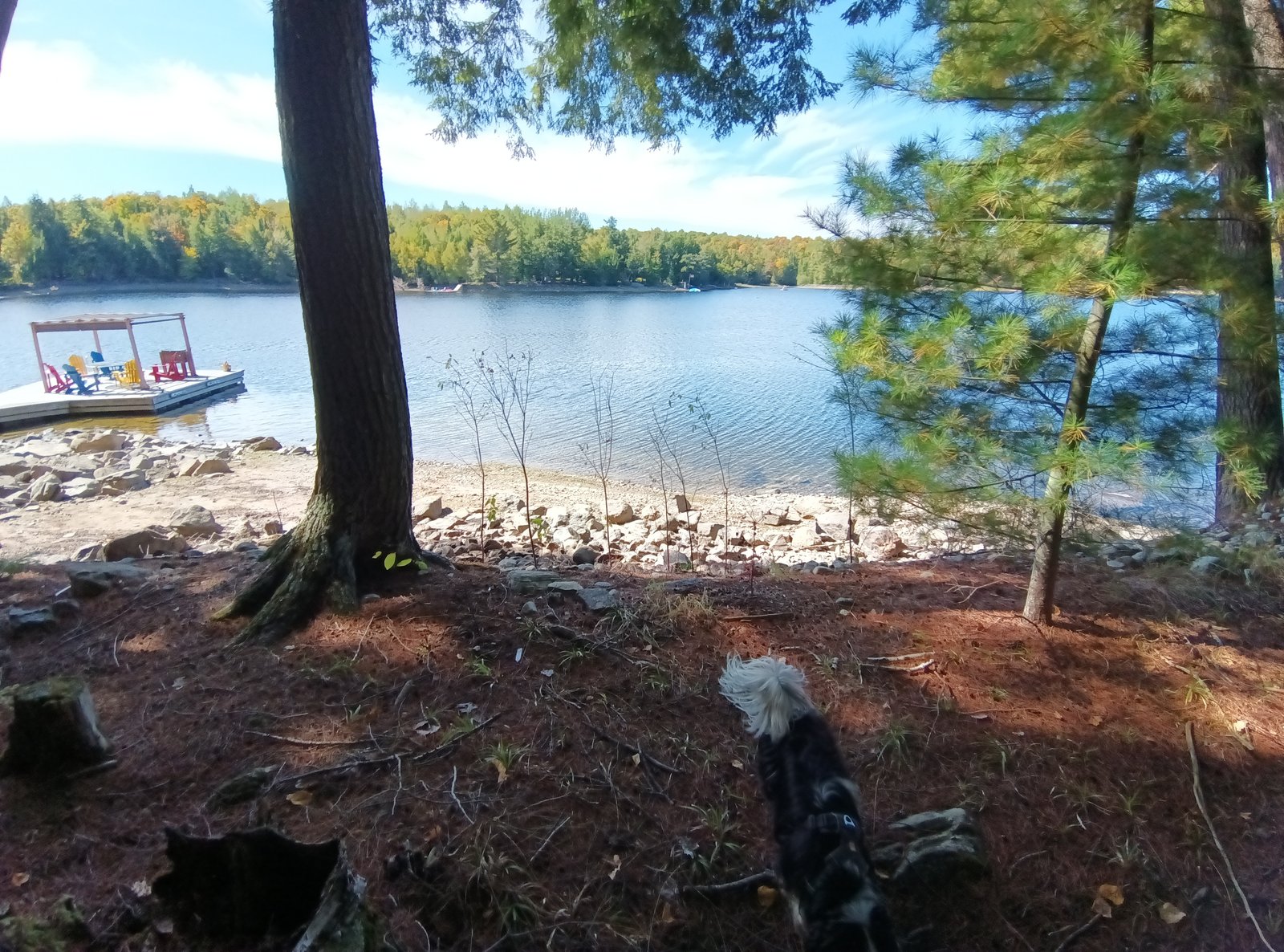 A property in Ontario — September 2025