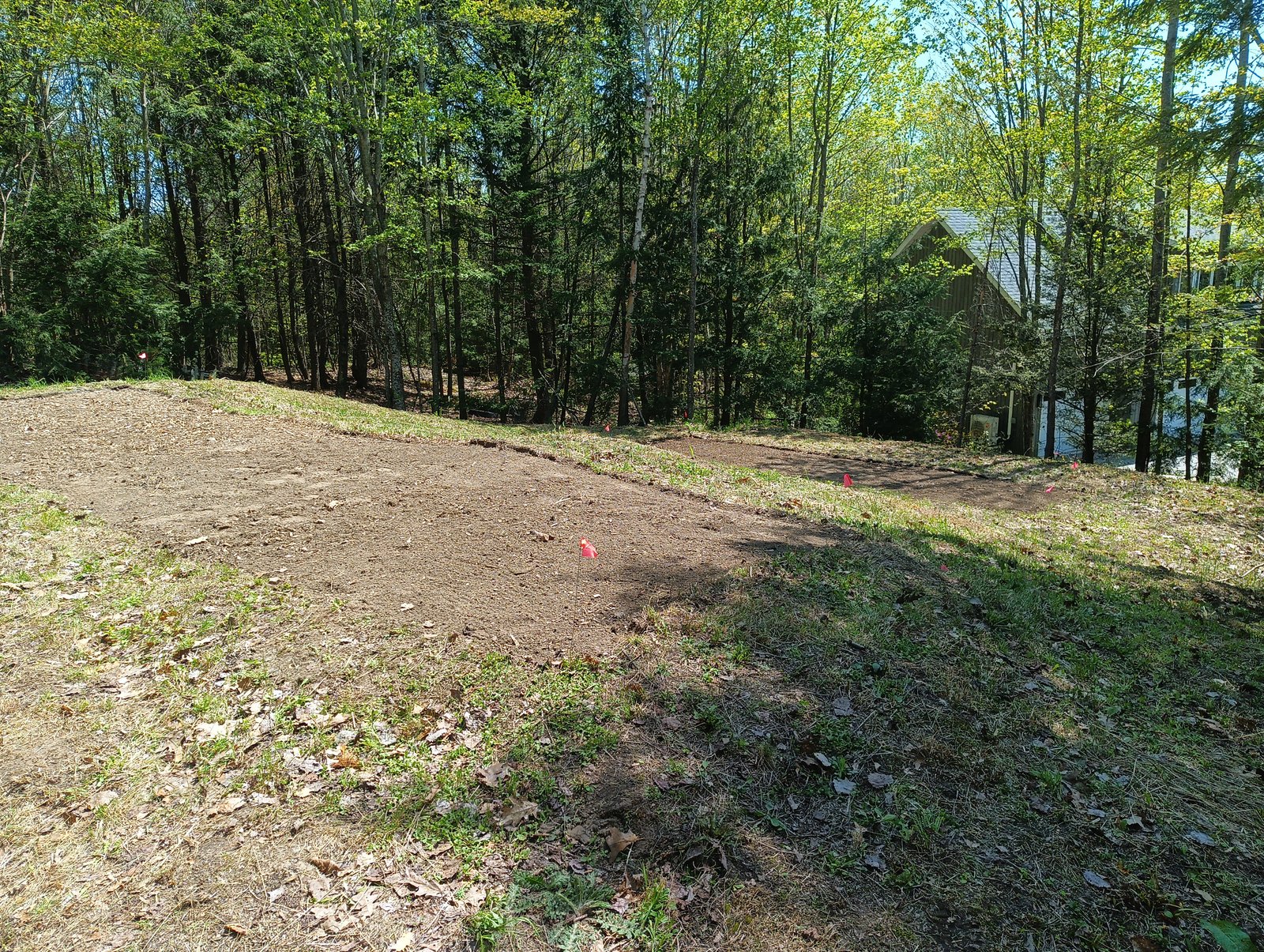 Septic beds — site prep, May 2026