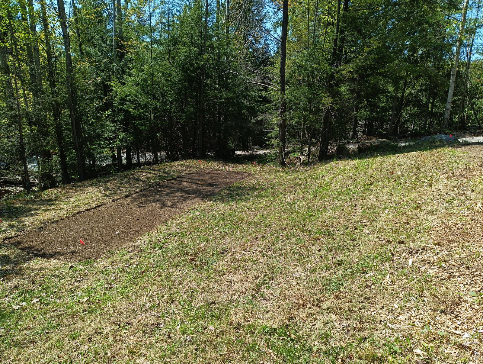 Septic beds — site prep, May 2026