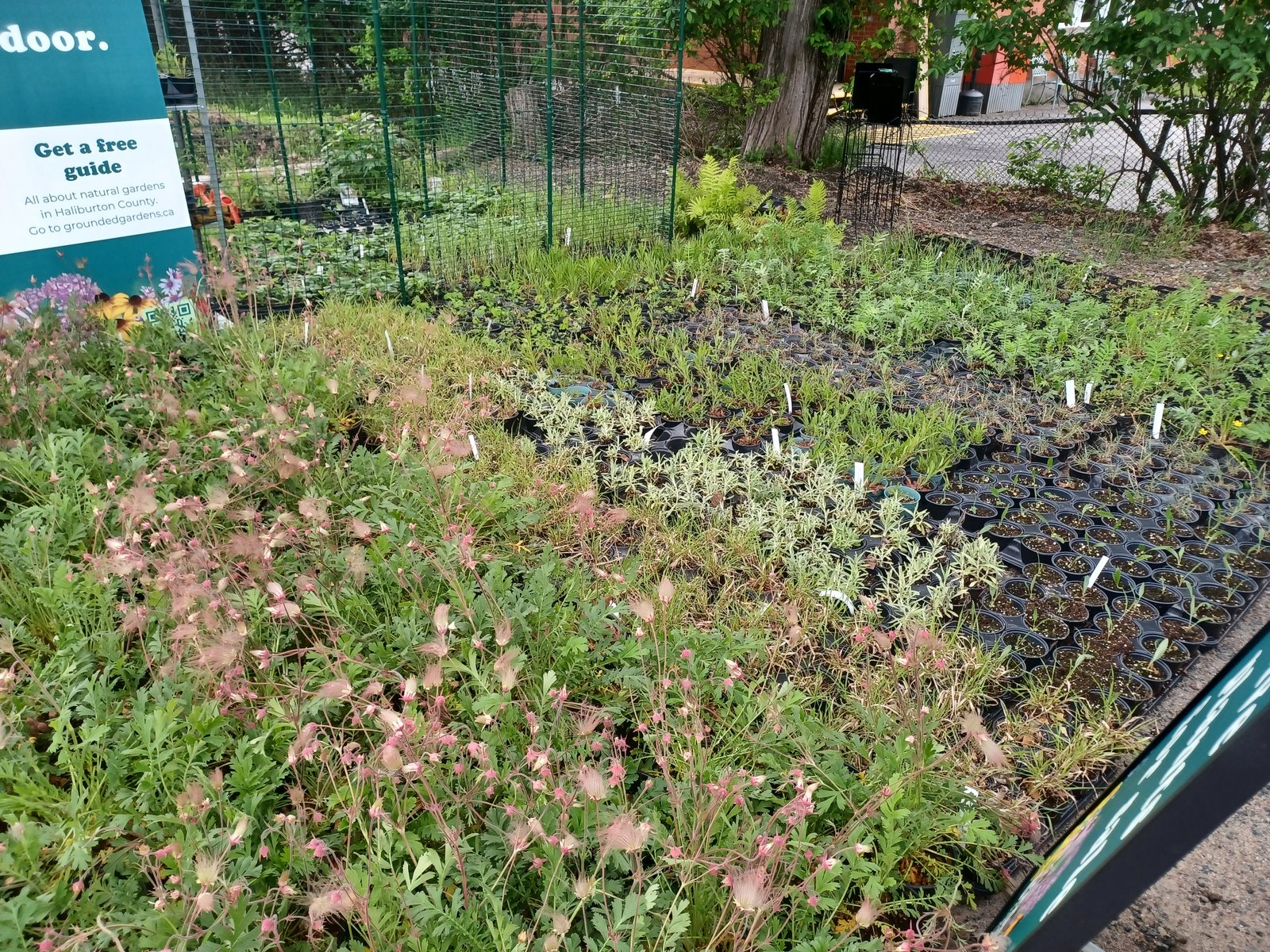 Plants arriving — May 2024