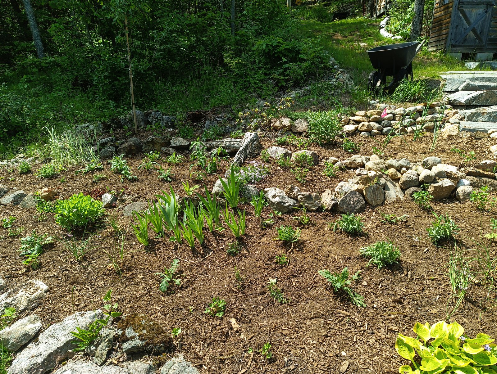 A property in Haliburton County — installation day, June 9, 2026