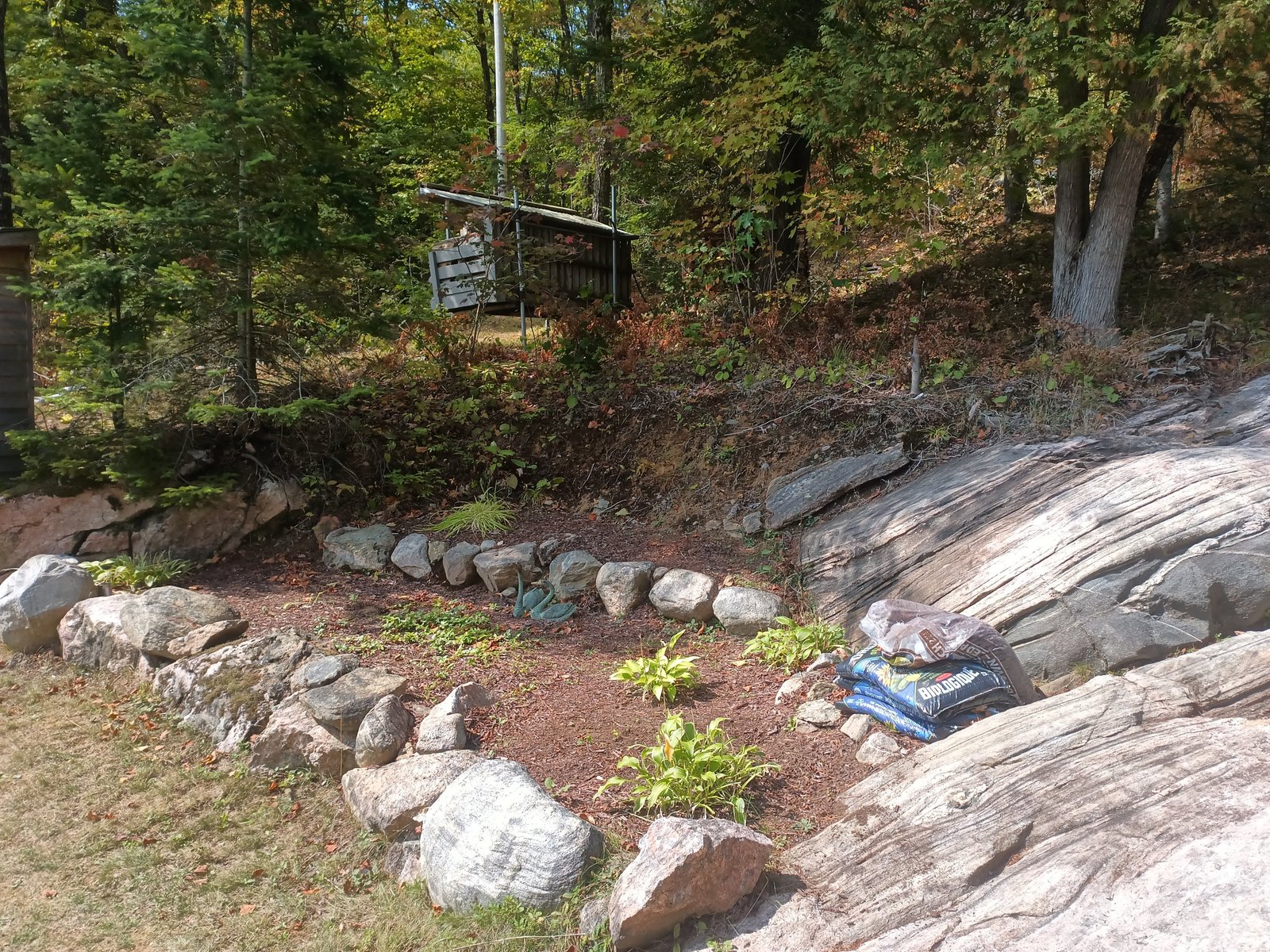Canadian Shield rock and forest backdrop