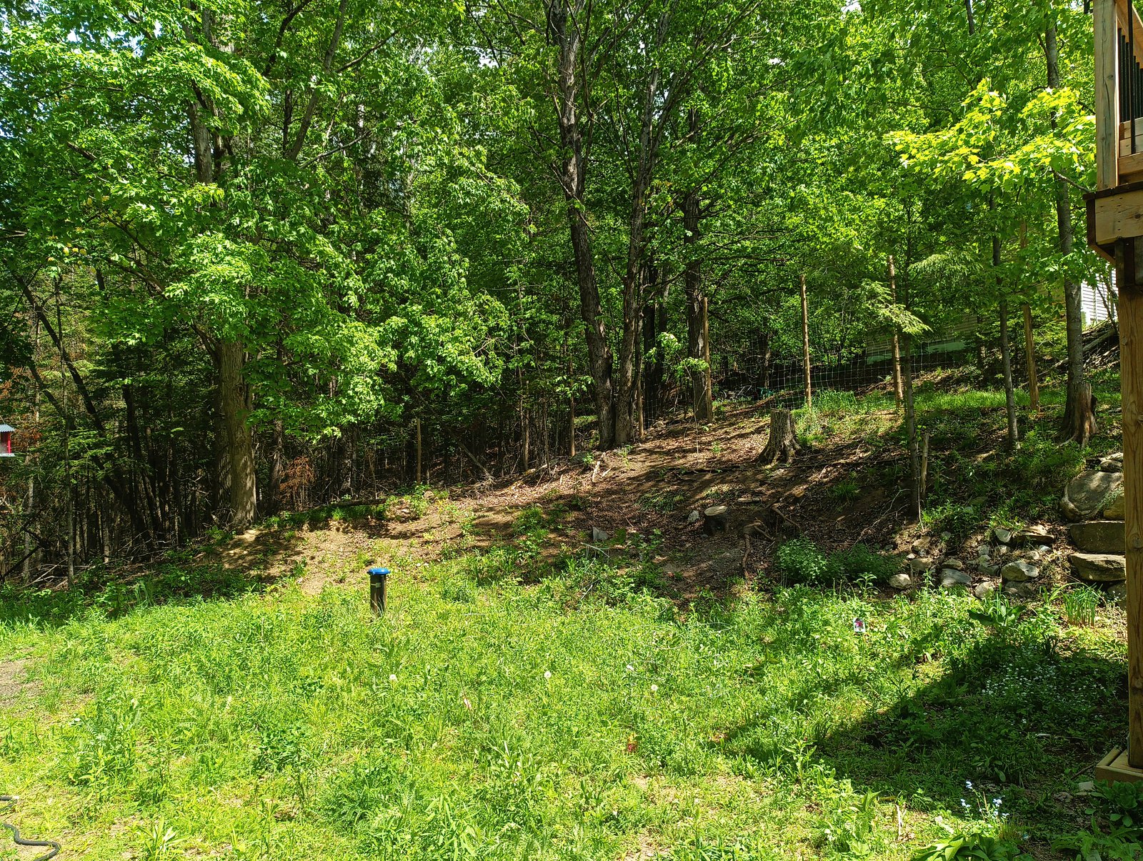 The slope before planting