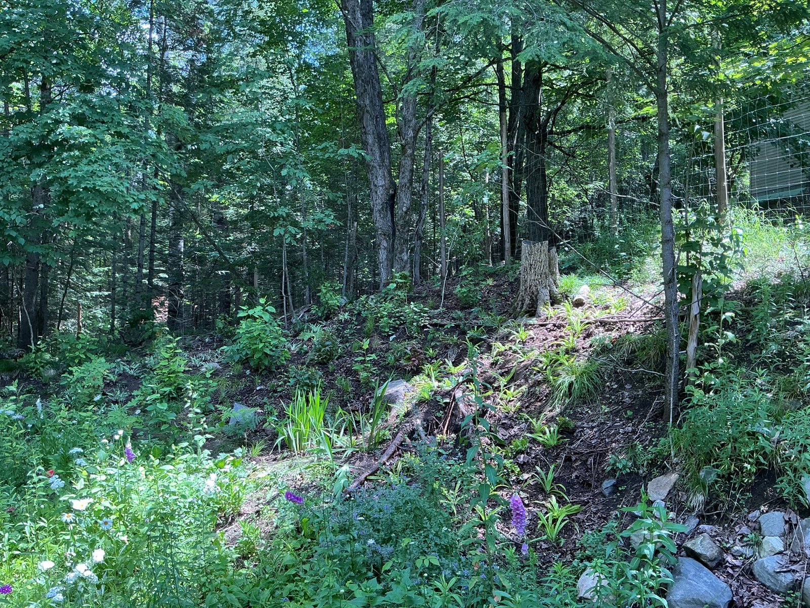 General view 3