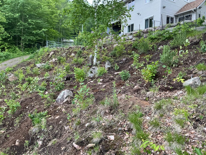 clients property — Paudash Lake