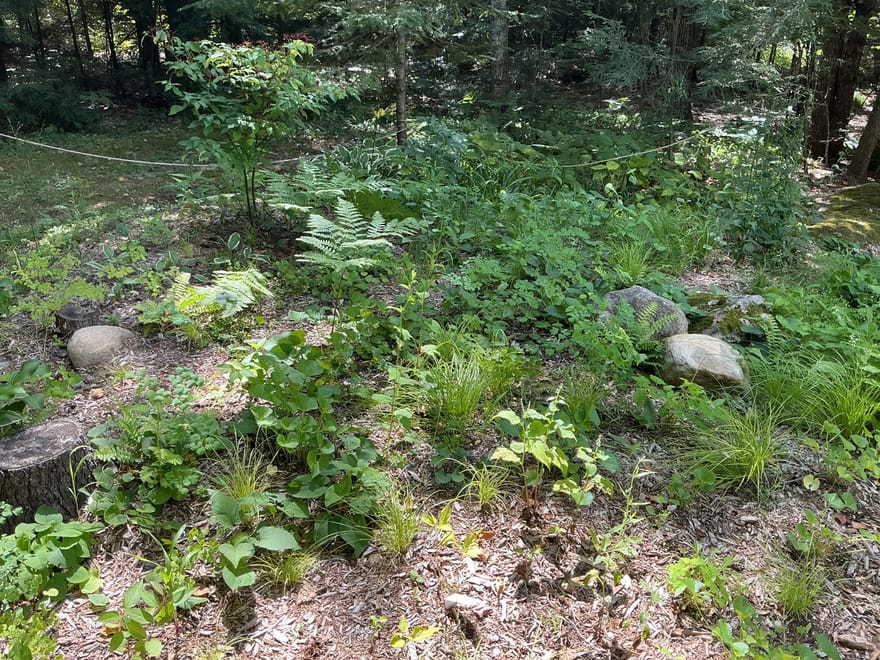 Gull River cottage — garden rooms installed fall 2025