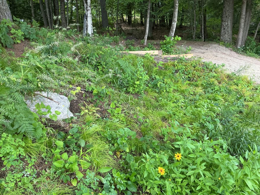 A property in Algonquin Highlands — Fall 2025