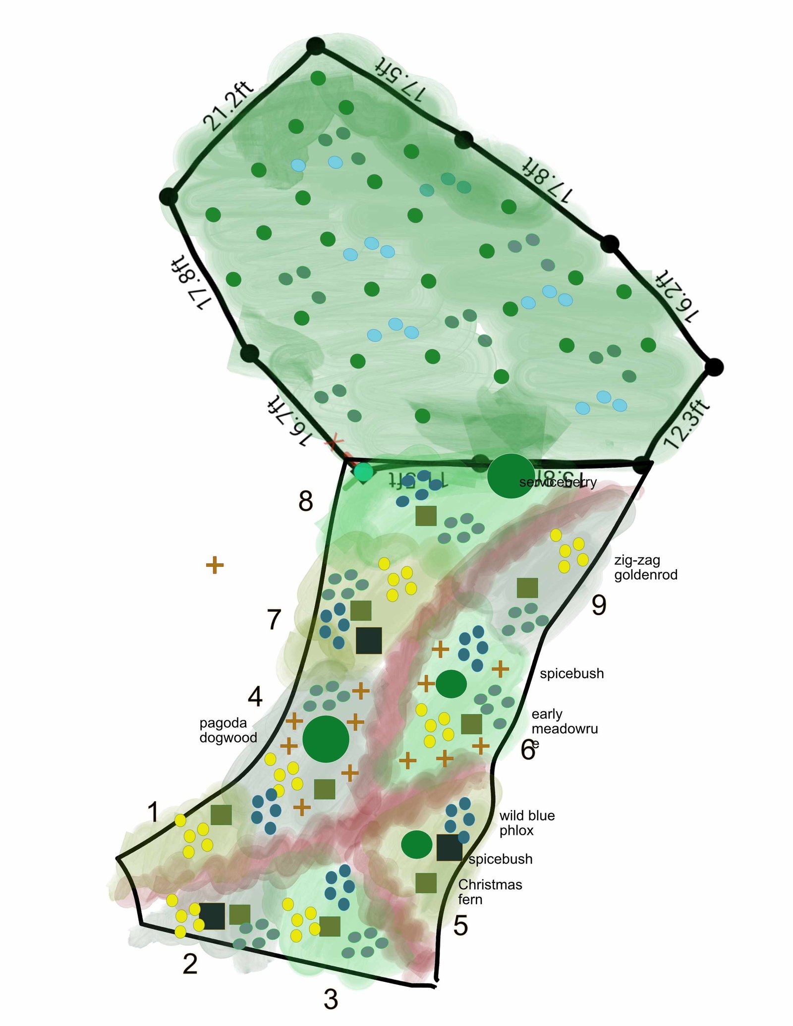Full site design layout — house-side and septic gardens, Haliburton County, 2025