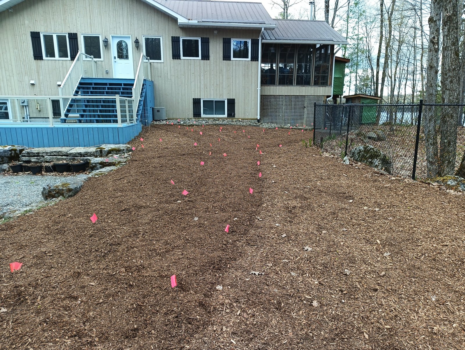 House-side garden mulched and ready for planting, with pink flags marking the path through the bed — May 2026