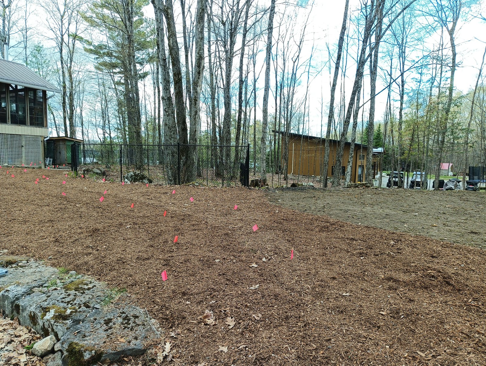 Mulched bed with pink flags marking the path, looking toward the back of the property — May 2026